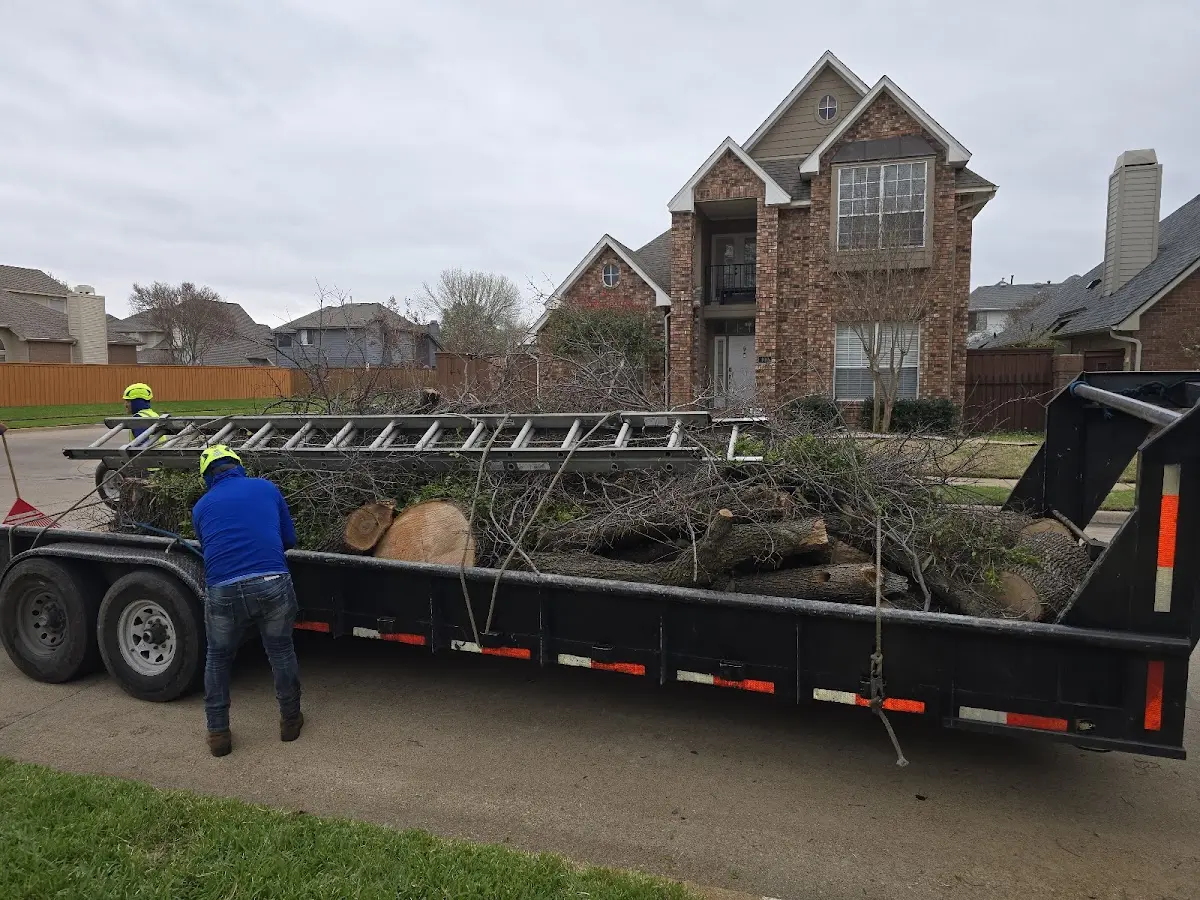 Expert Tree Pest Control with proper safety equipment in Nazlini